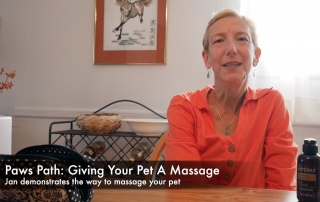Giving Your Pet a Massage